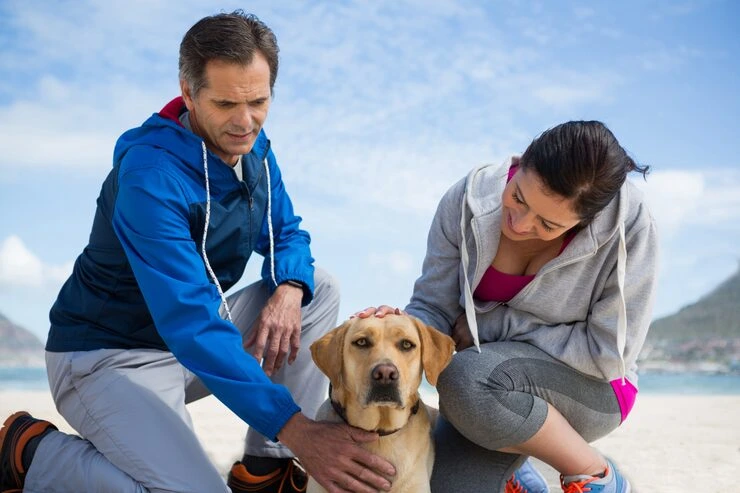 Ongoing Mobility Planning for Global Families