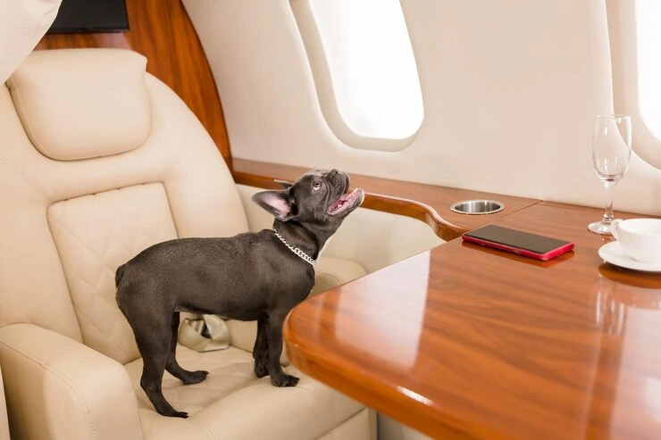 Private Jet and First-Class Aviation Coordination