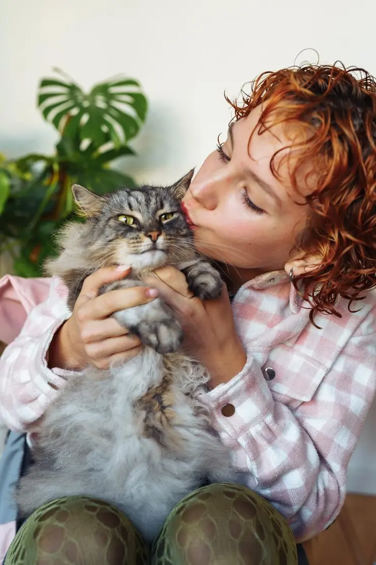 Post-Arrival Compliance and Registration in Belgium