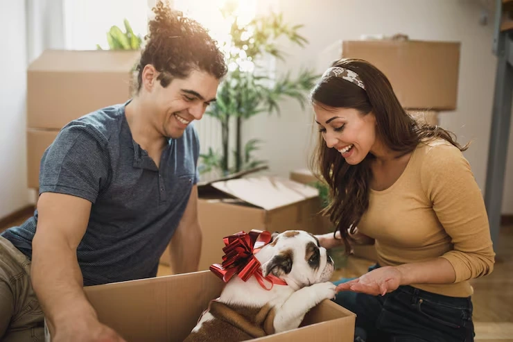 Post-Arrival Delivery to Your New Home in the Netherlands