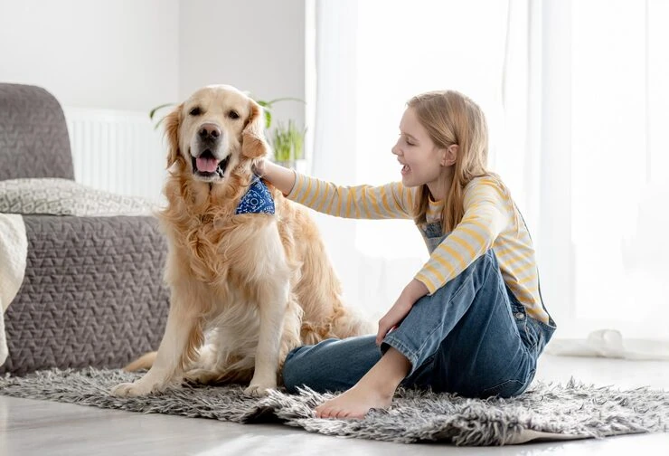 Diplomatic Pet Relocation Services From Canada to Ukraine