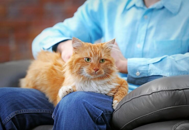 Post-Arrival Support and Integration Assistance