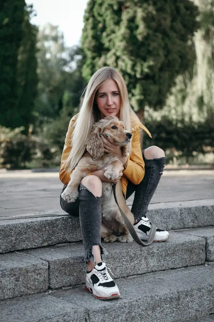 Pre-Departure Compliance and Health Certification in Canada