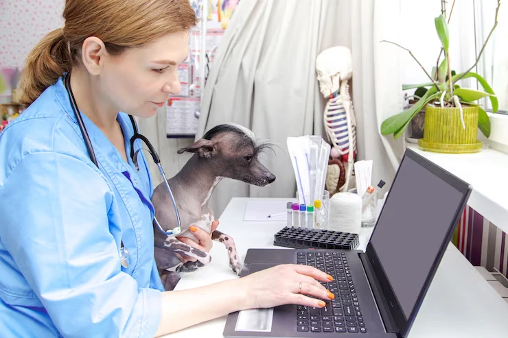 Pre-Departure Veterinary Compliance and EU Import Structuring