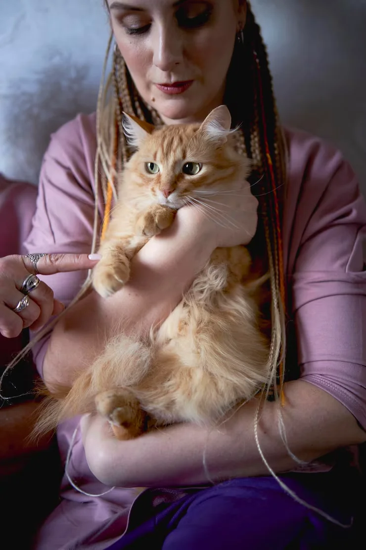 Pre-Export Veterinary Compliance Management