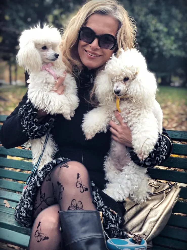 Pre-Export Veterinary Compliance in Canada