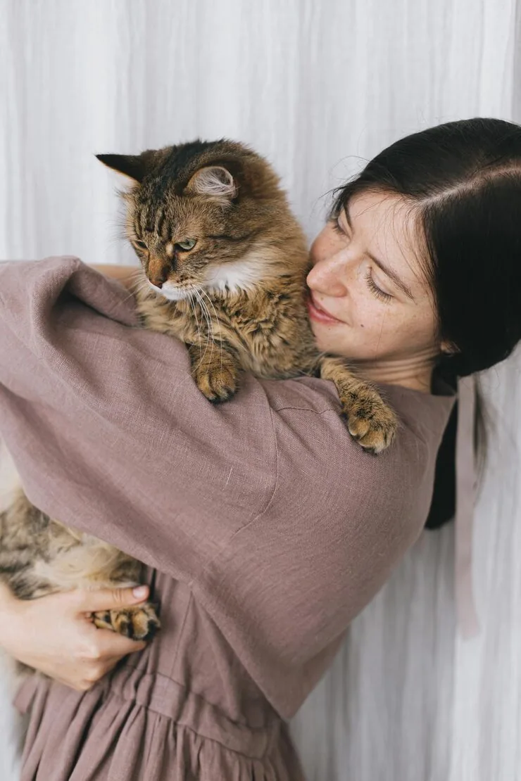 Pre-Move Veterinary Compliance and EU Entry Preparation