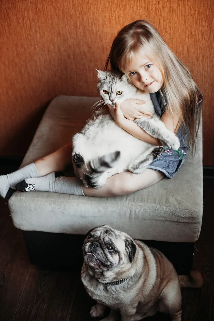 Pre-Relocation Compliance Assessment and Case Planning