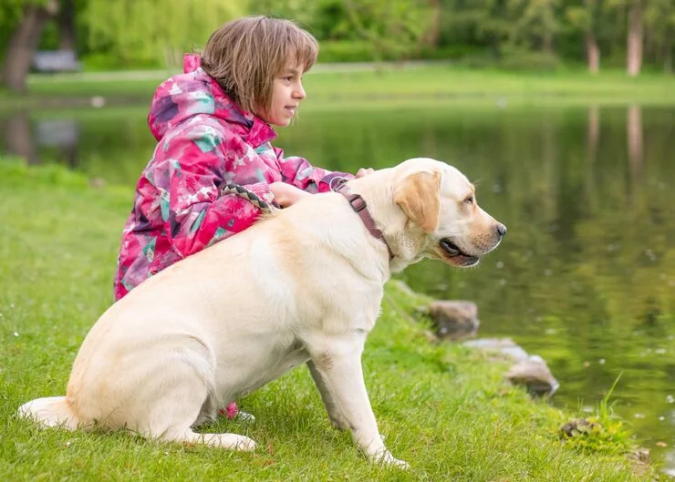 Private Jet Charter Coordination for Pet-Only Flights