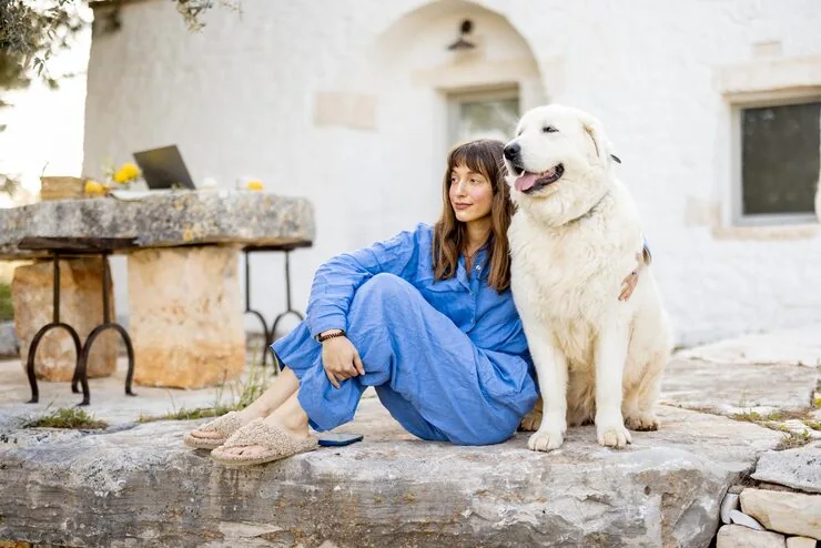 Private Jet Flight Coordination for Pets