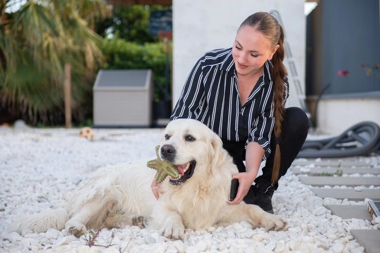 Private Jet Pet Relocation Services From Canada to Austria