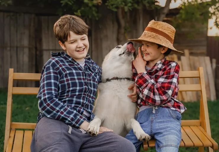 Private Jet Pet Relocation Services From Canada to England