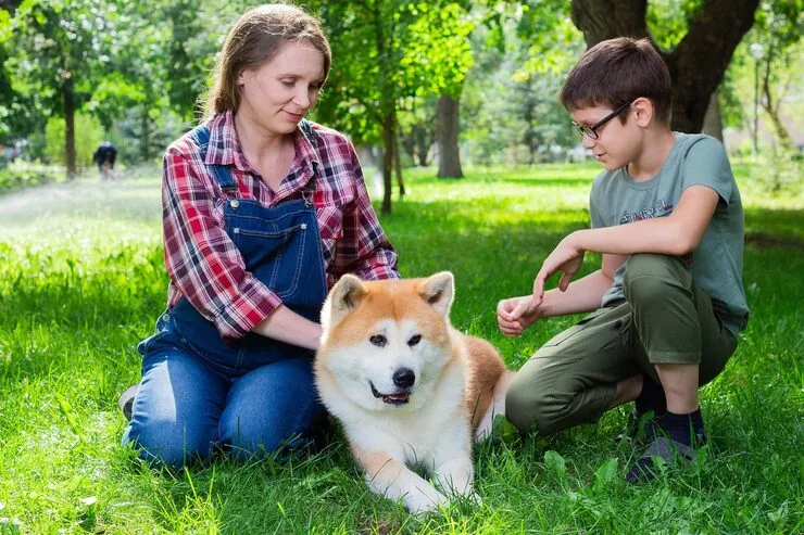 Private Jet Pet Relocation Services From Canada to Italy