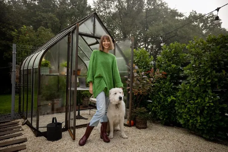 Private Jet Pet Relocation Services From Canada to the Czech Republic