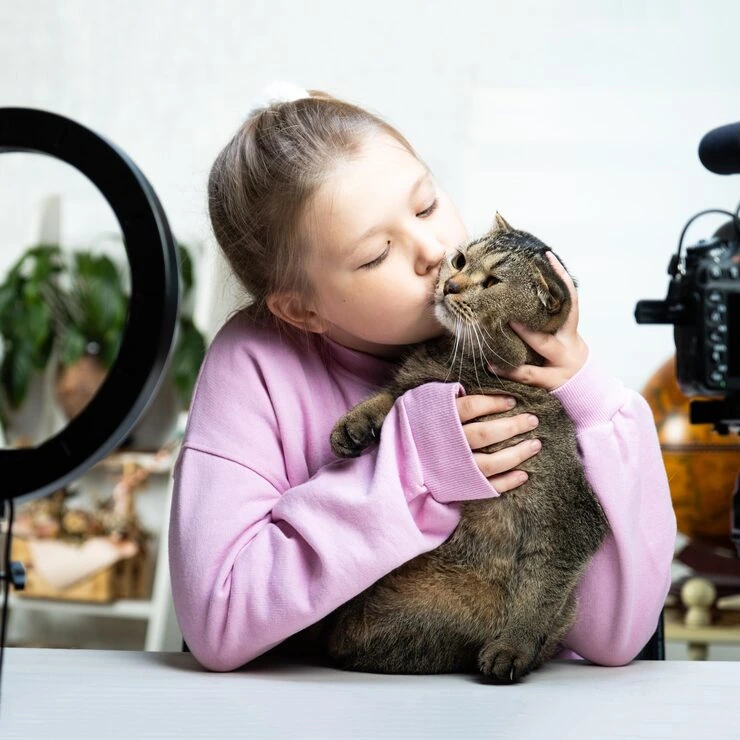 Rabies Titre Testing and Risk Zone Assessment