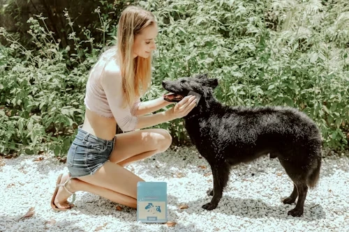 Relocation Support for Corporate and Family Moves