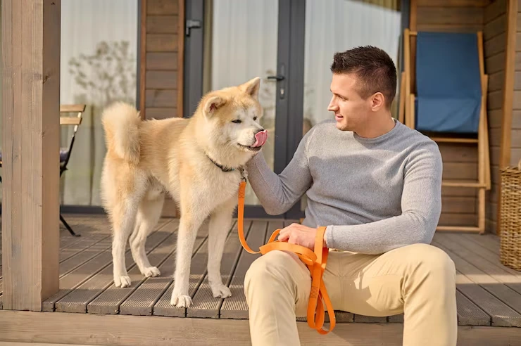 UHNW Pet Relocation Services From Canada to Austria