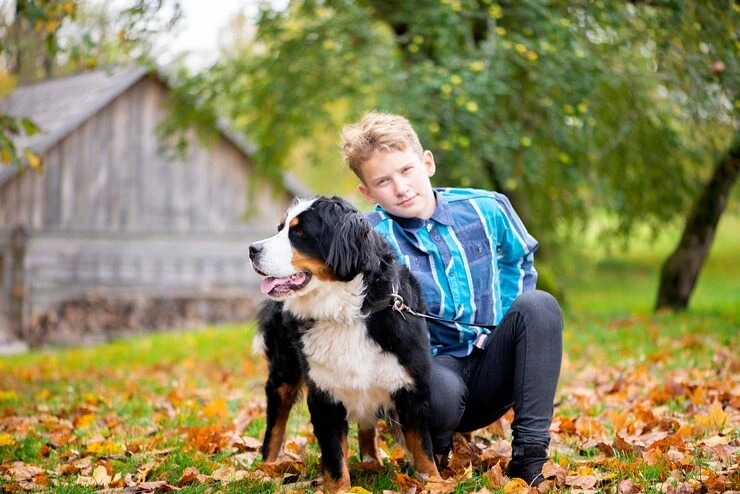 UHNW Pet Relocation Services From  Canada to England