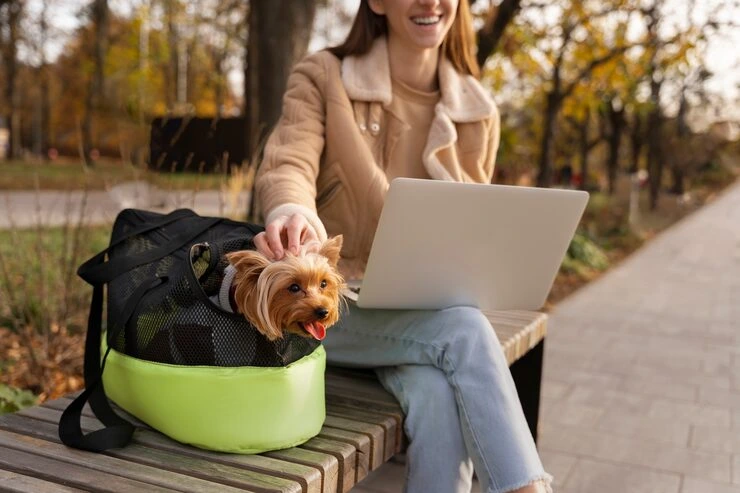 UHNW Pet Relocation Services From Canada to Greece