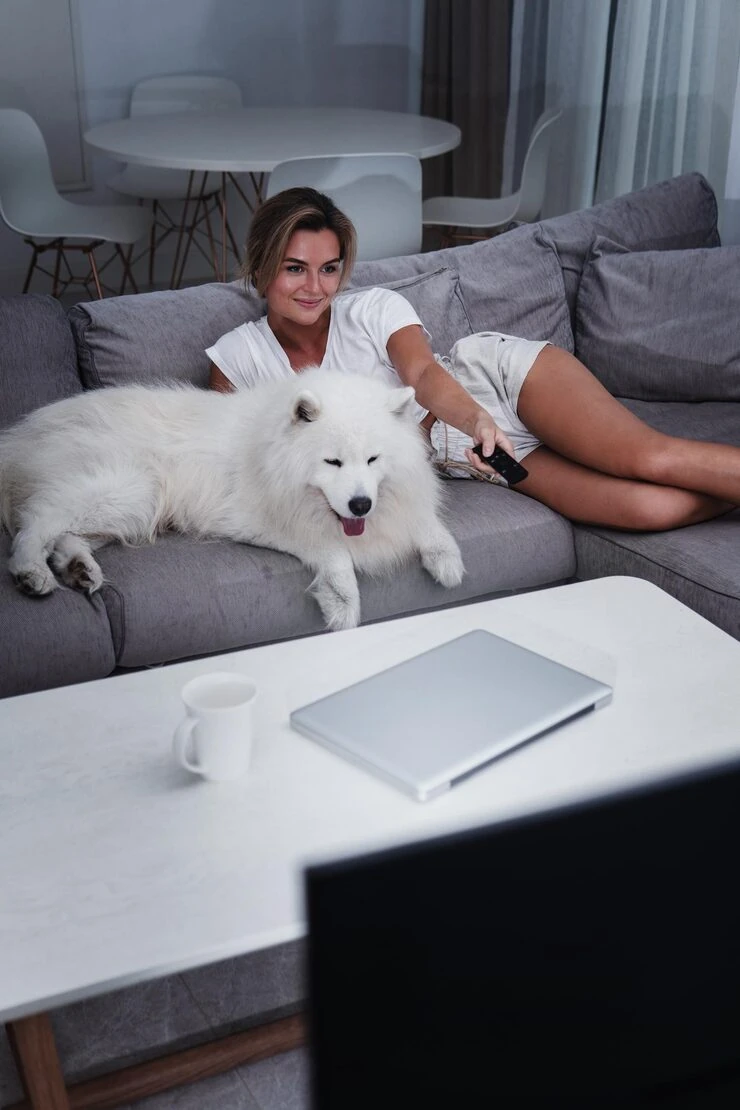 UK Customs Clearance and Entry Into Scotland