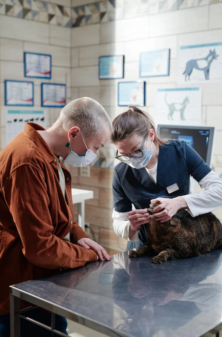 Veterinary Compliance and EU Health Certification