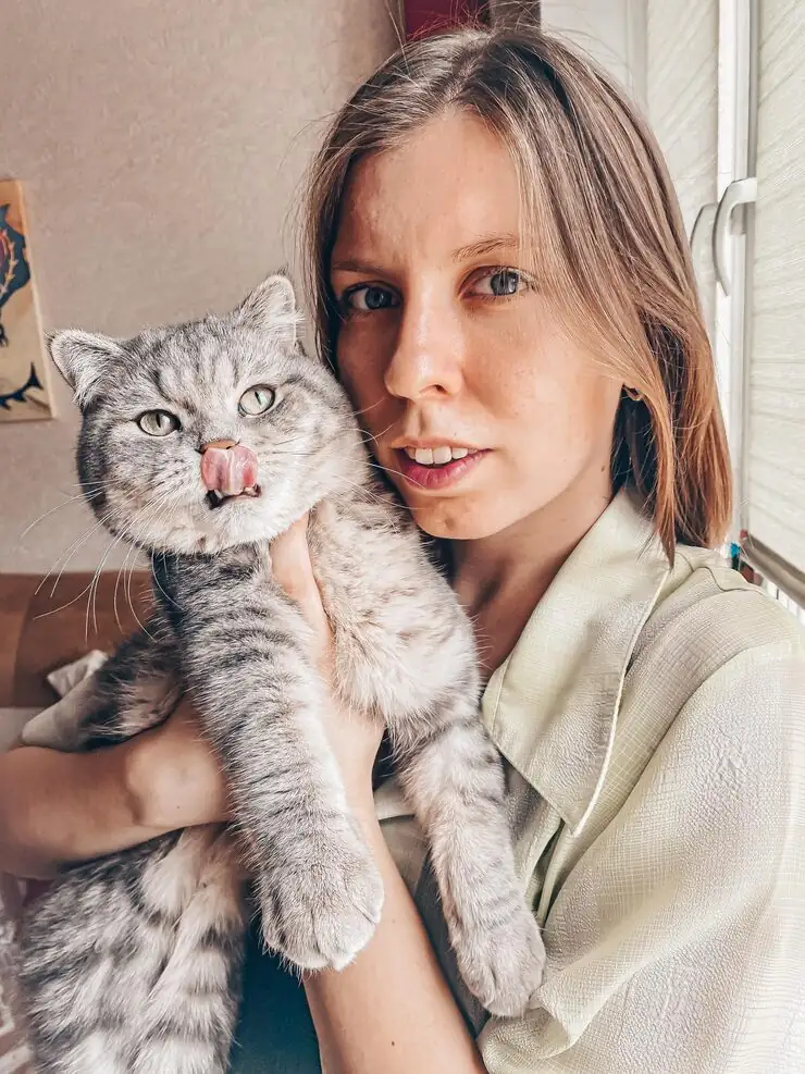 Veterinary Compliance and EU Entry Documentation