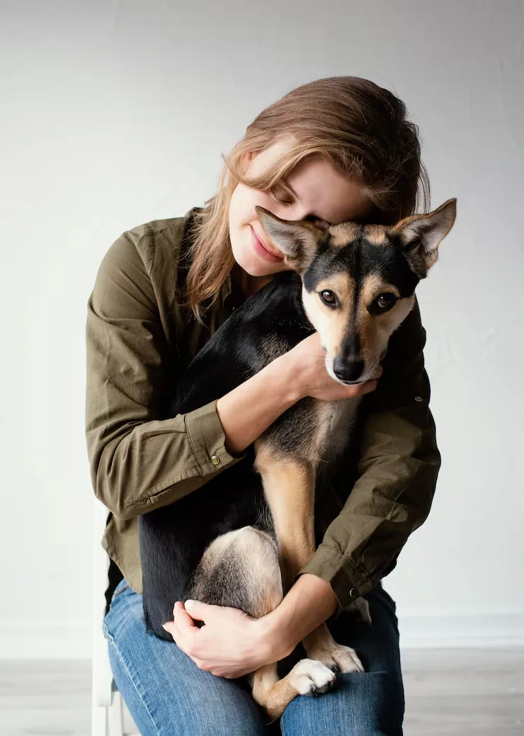 Veterinary Compliance and EU Entry Preparation