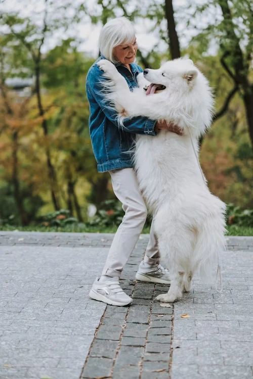 Veterinary Compliance and EU Import Documentation​