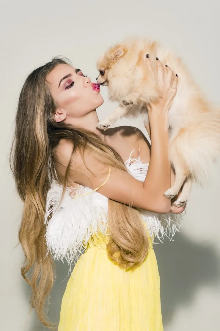 Veterinary Compliance and Export Documentation