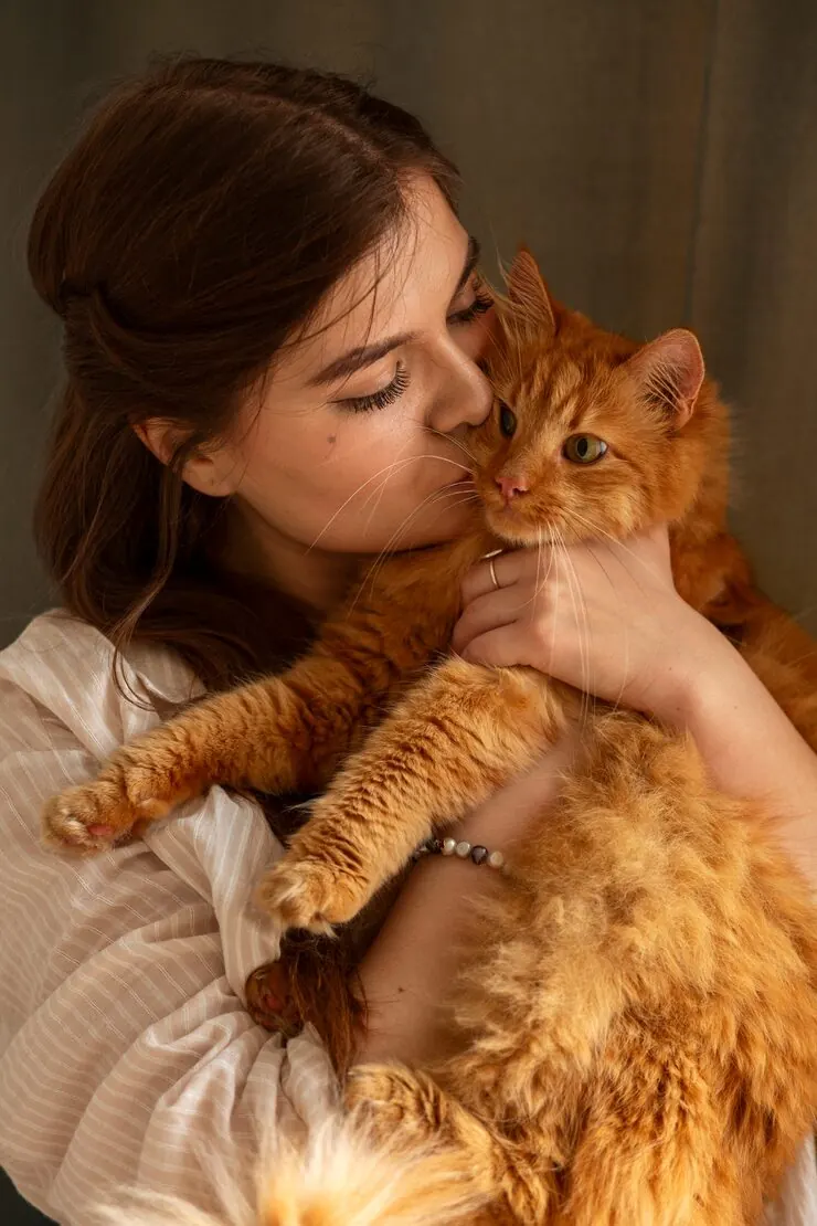 Veterinary Compliance and Health Certification Management