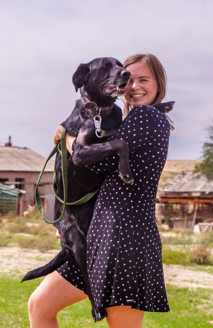 Veterinary Coordination Across Jurisdictions​