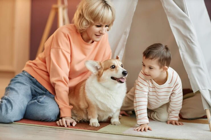 Veterinary Coordination and Health Certification