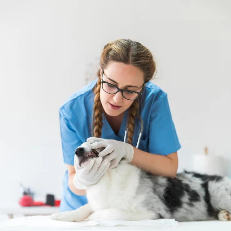 Breed-Specific and Special Care Handling