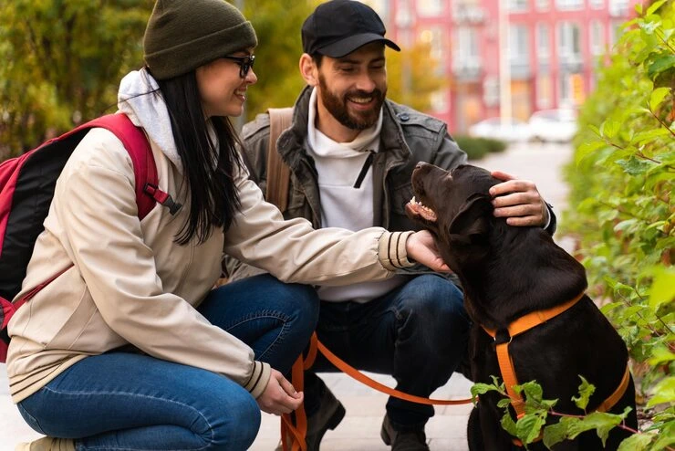 Why Choose UHNW Pet Relocation Services From Canada to Italy