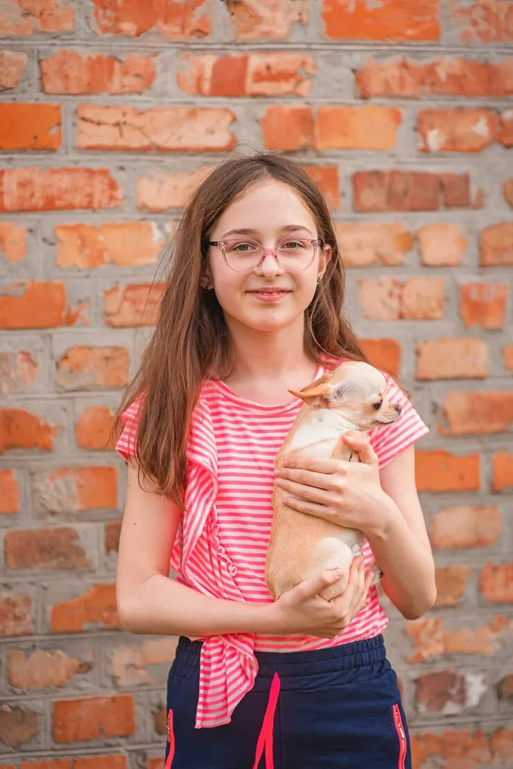 Breed-Specific and High-Risk Case Management