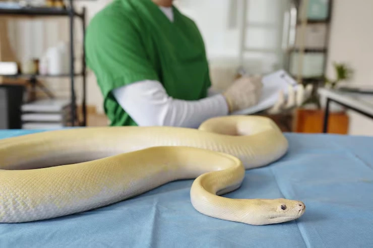 Airline Booking and Live Animal Transport Coordination