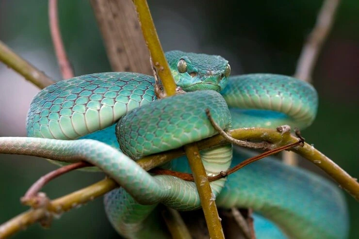 Airline Booking and Route Coordination ​