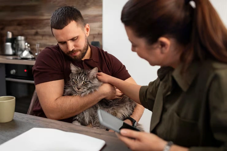 Pedigree Cat Breeder and Show Cat Transport