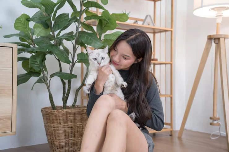 Breeder and Show Cat Relocation