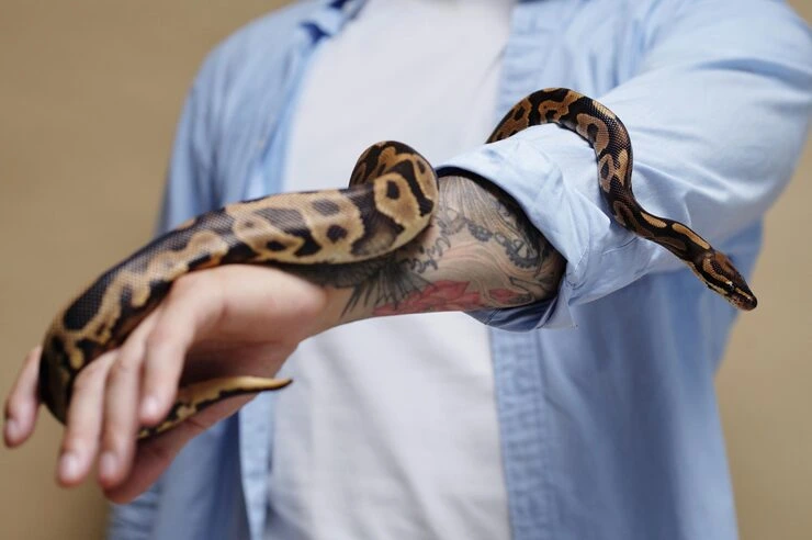 Climate-Controlled Transport Planning