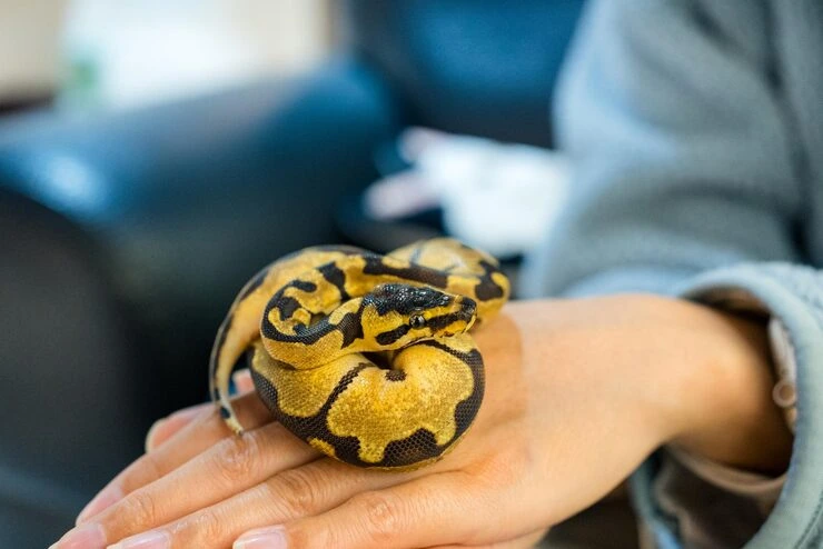 Custom Transport Enclosures and Packaging