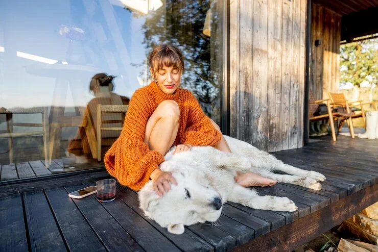 Customs Clearance at Swiss Entry Points ​