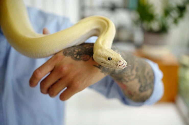 Door-to-Door Relocation Coordination