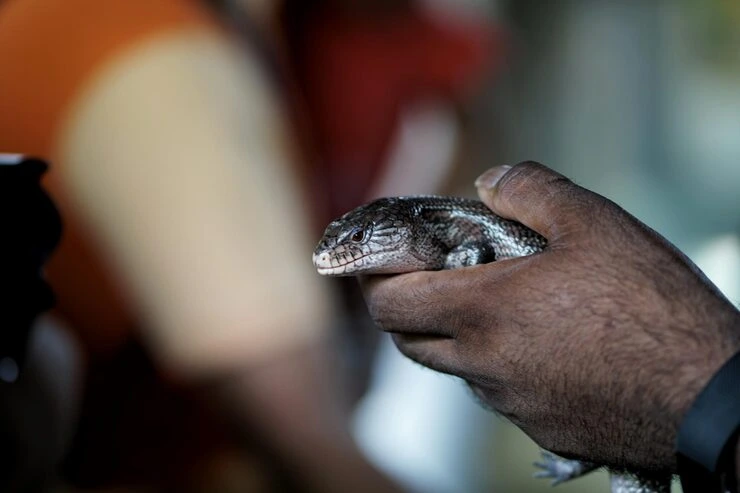 Industry Statistics That Matter