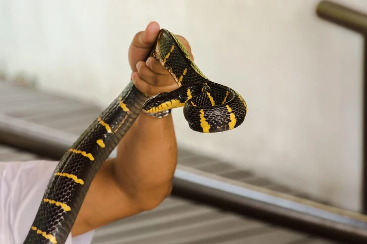 Industry Statistics That Matter