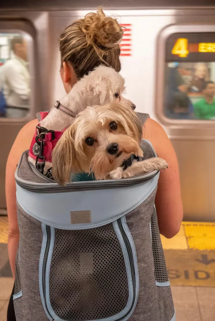 Multi-Pet and Breeder Relocation Planning