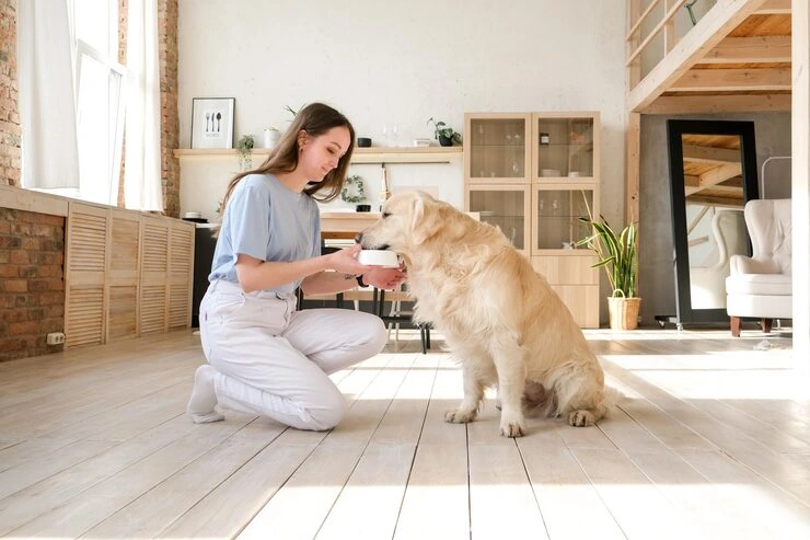 Pedigree Dog Relocation Services From Canada to Ukraine