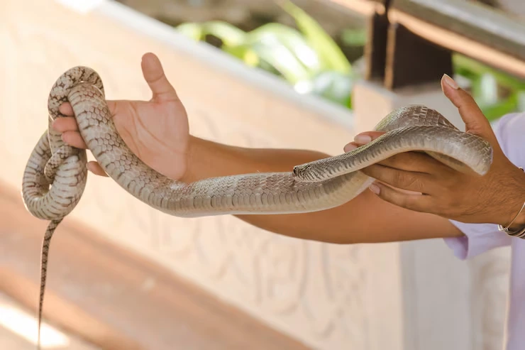 Pre-Relocation Compliance and Documentation