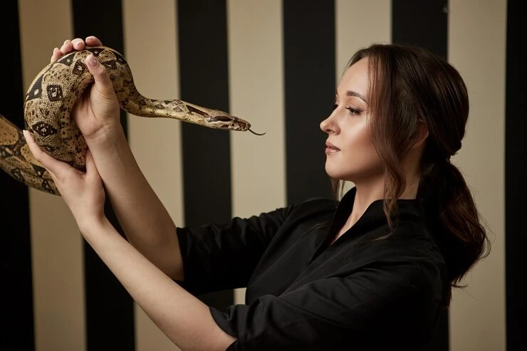 Temperature-Controlled Transit Planning ​