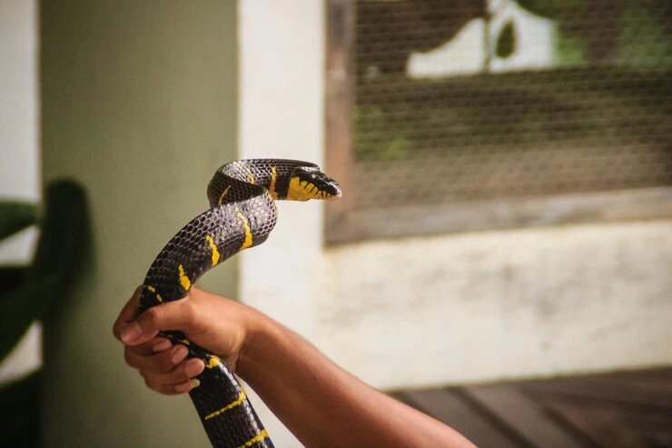 Why Choose Us Greece